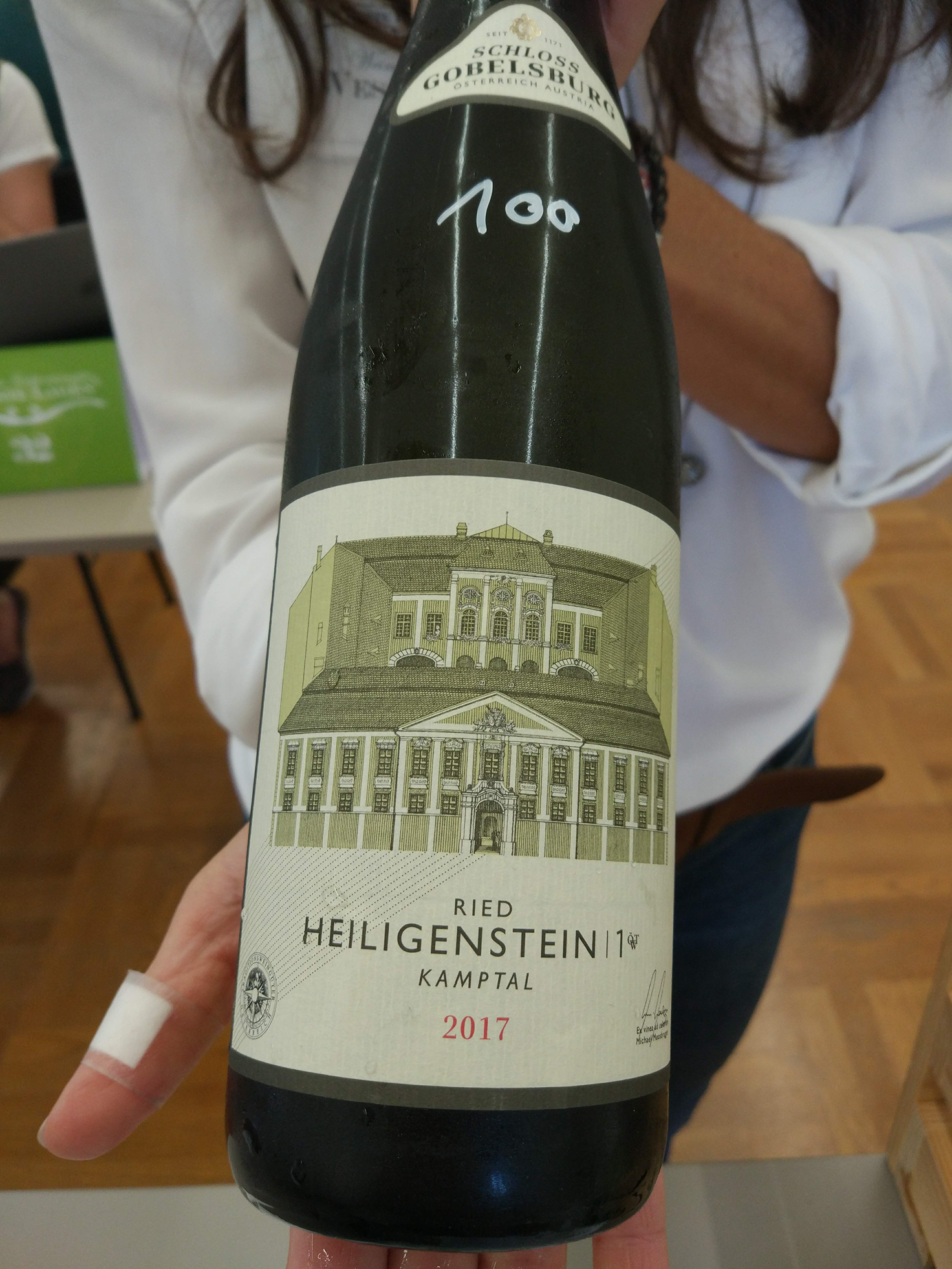 Schloss Gobelsburg - Riesling Heiligenstein 2017