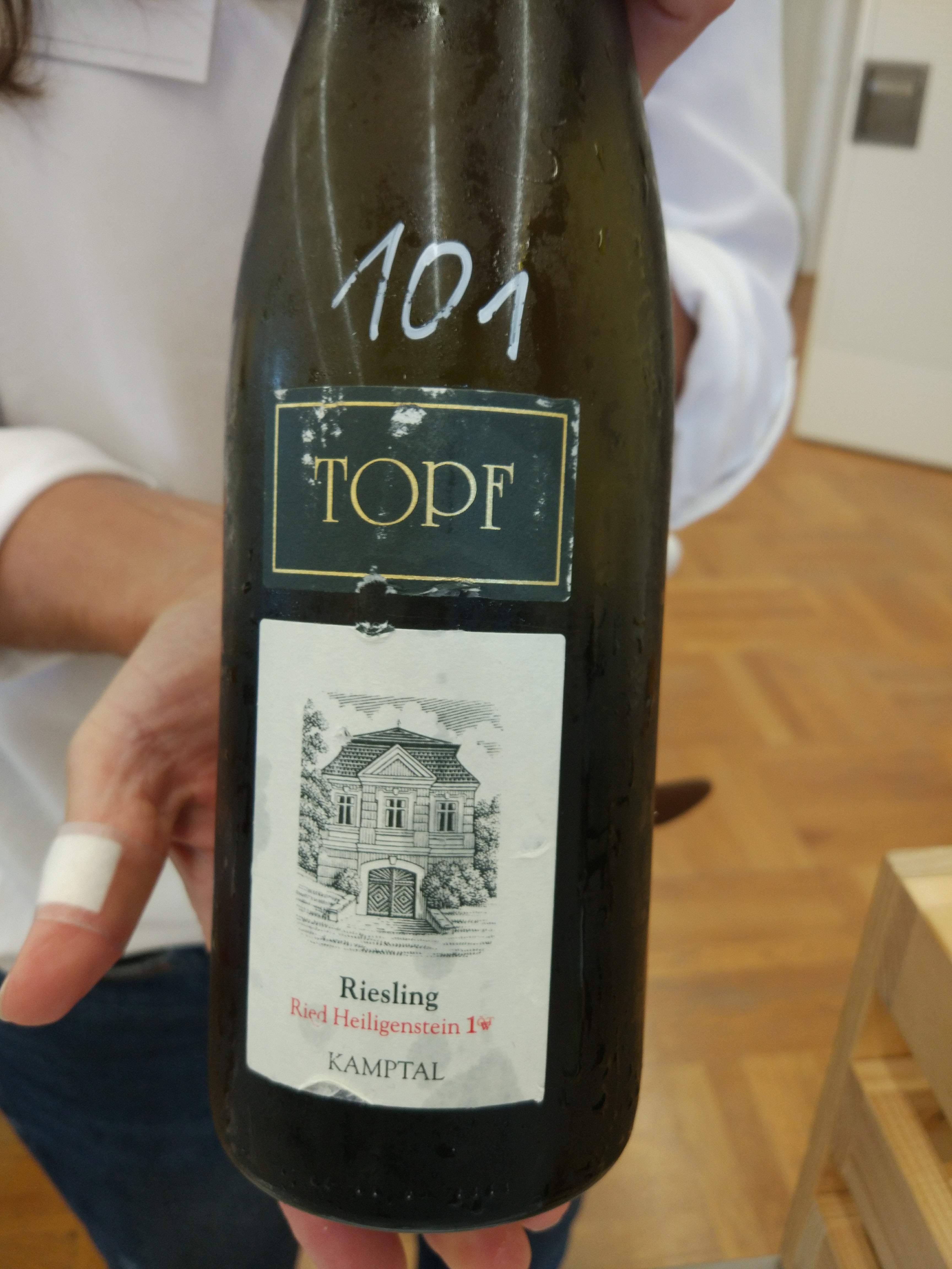 Topf - Riesling Heiligenstein 2017