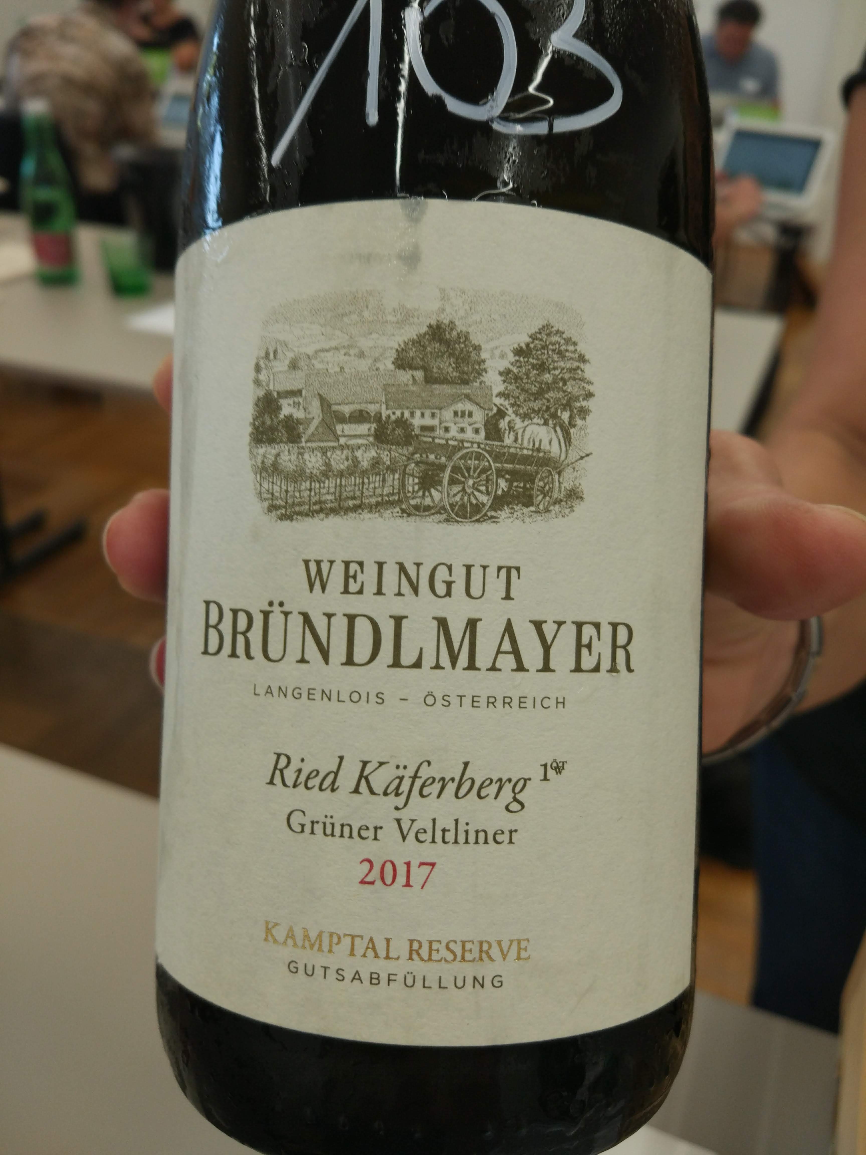 Bründlmayer - Grüner Veltliner Käferberg 2017