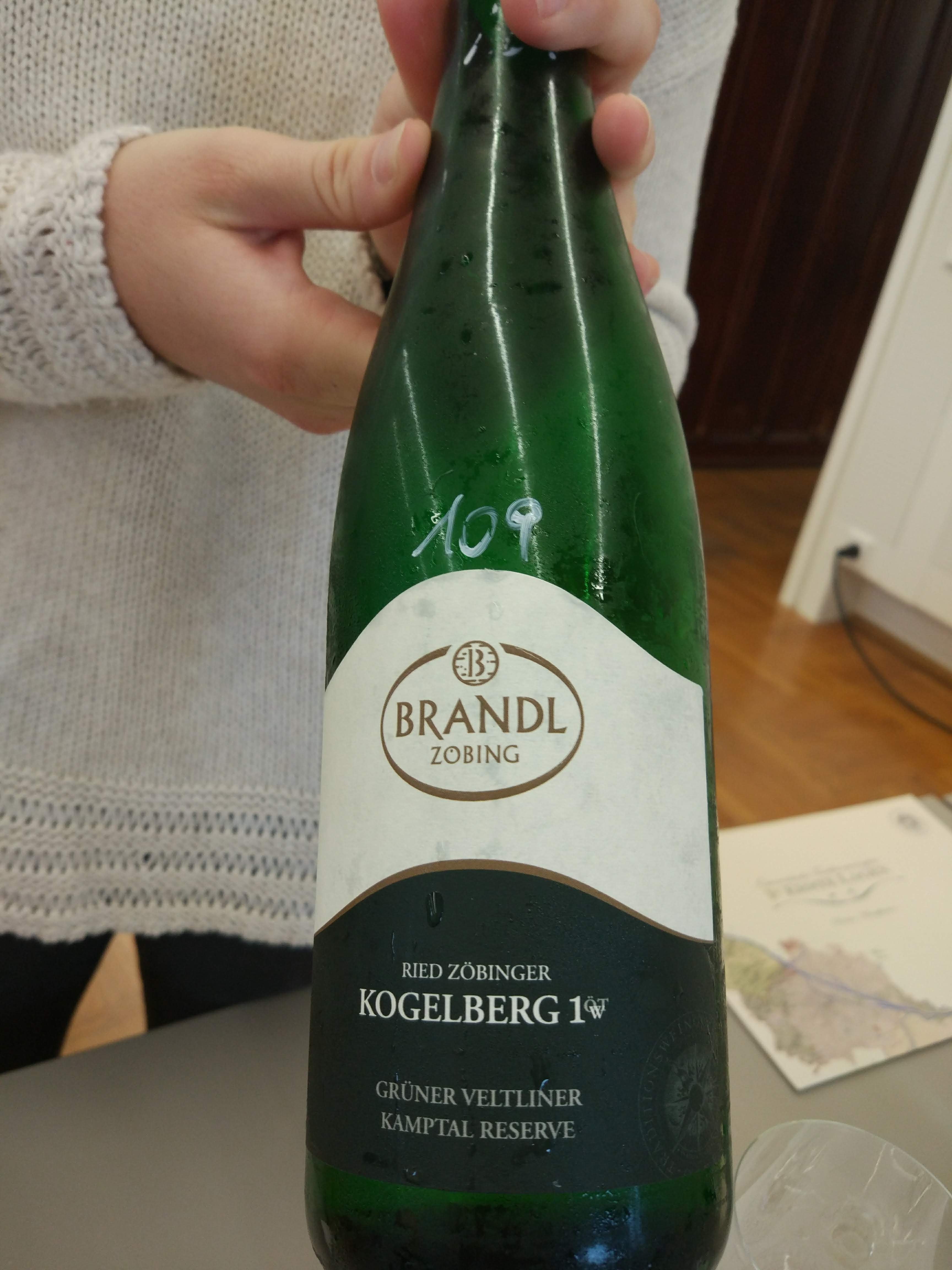Brandl - Grüner Veltliner Kogelberg 2017 Brandl - Grüner Veltliner Kogelberg 2017