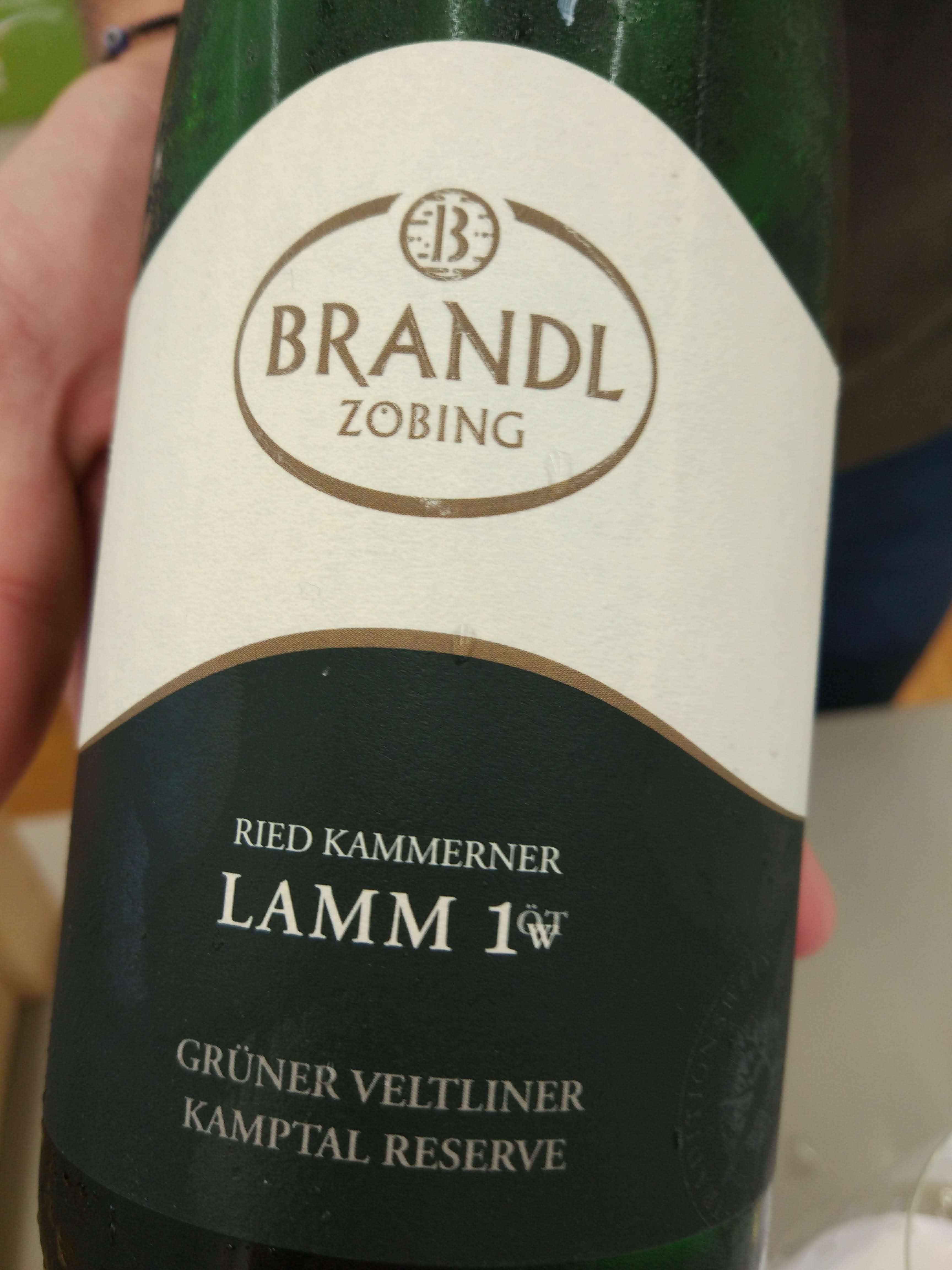 Brandl - Grüner Veltliner Lamm 2017 Brandl - Grüner Veltliner Lamm 2017