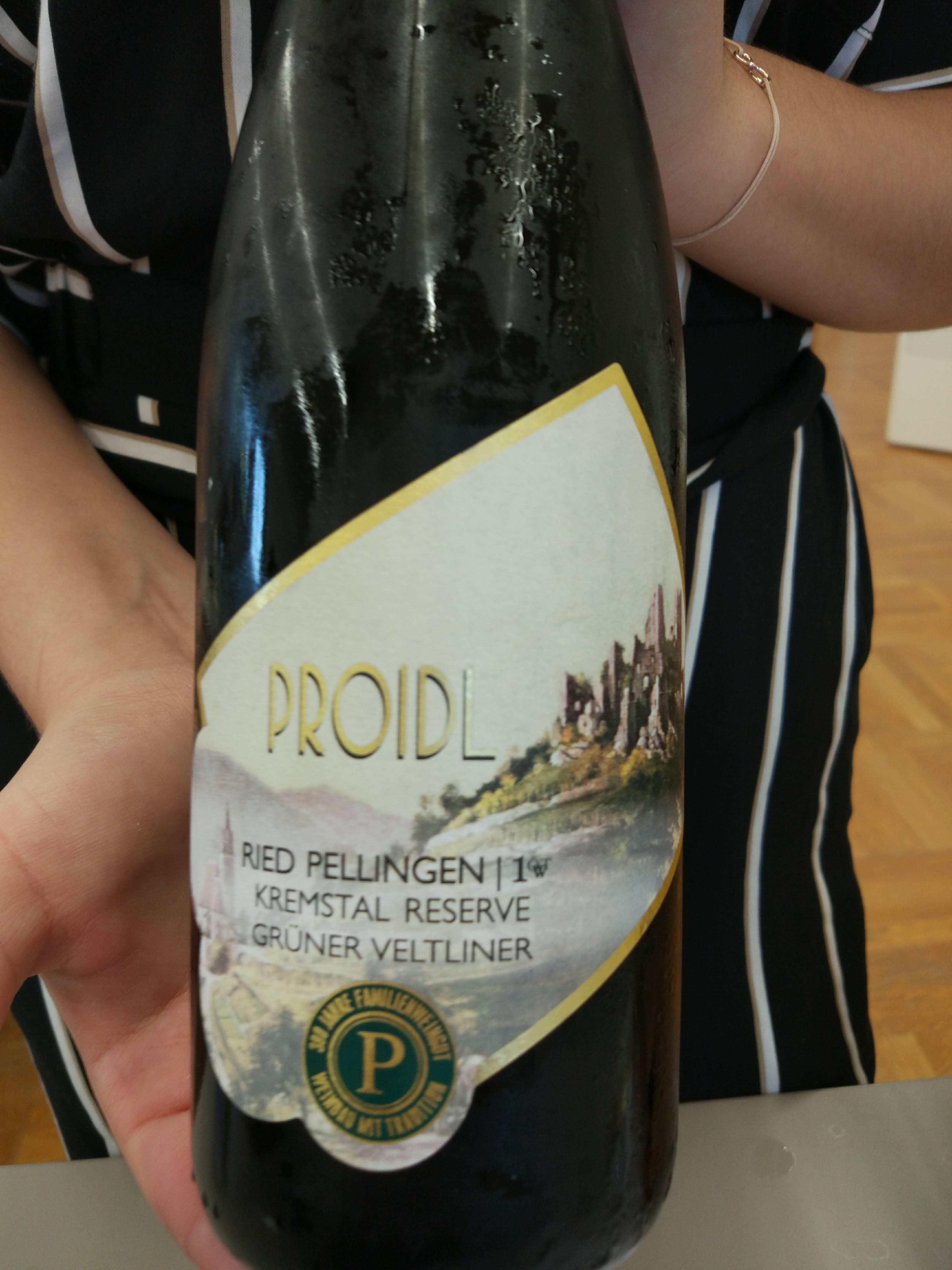 Fam. Proidl - Grüner Veltliner Pellingen 2017