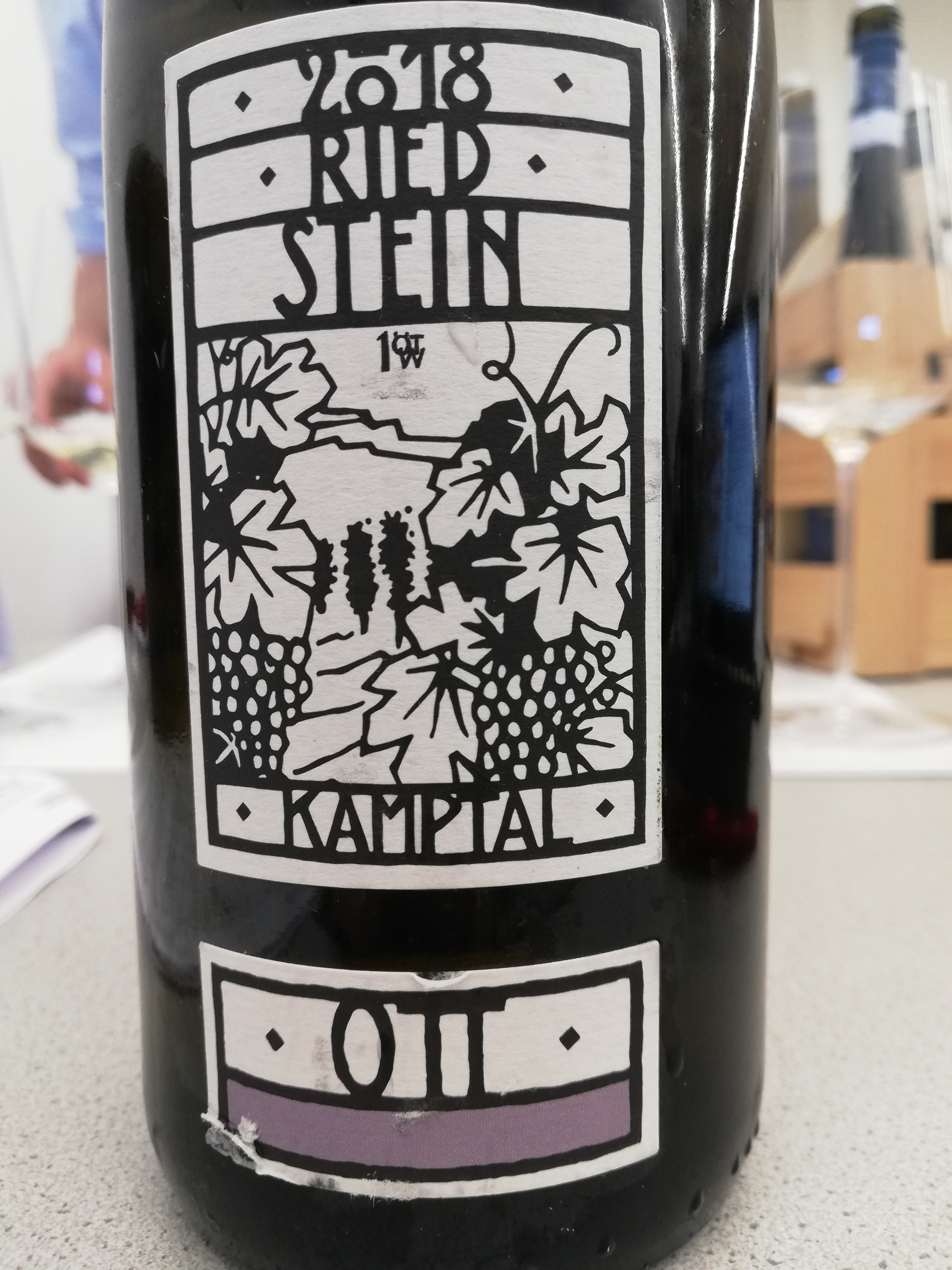 Bernhard Ott - Grüner Veltliner Ried Stein 2018