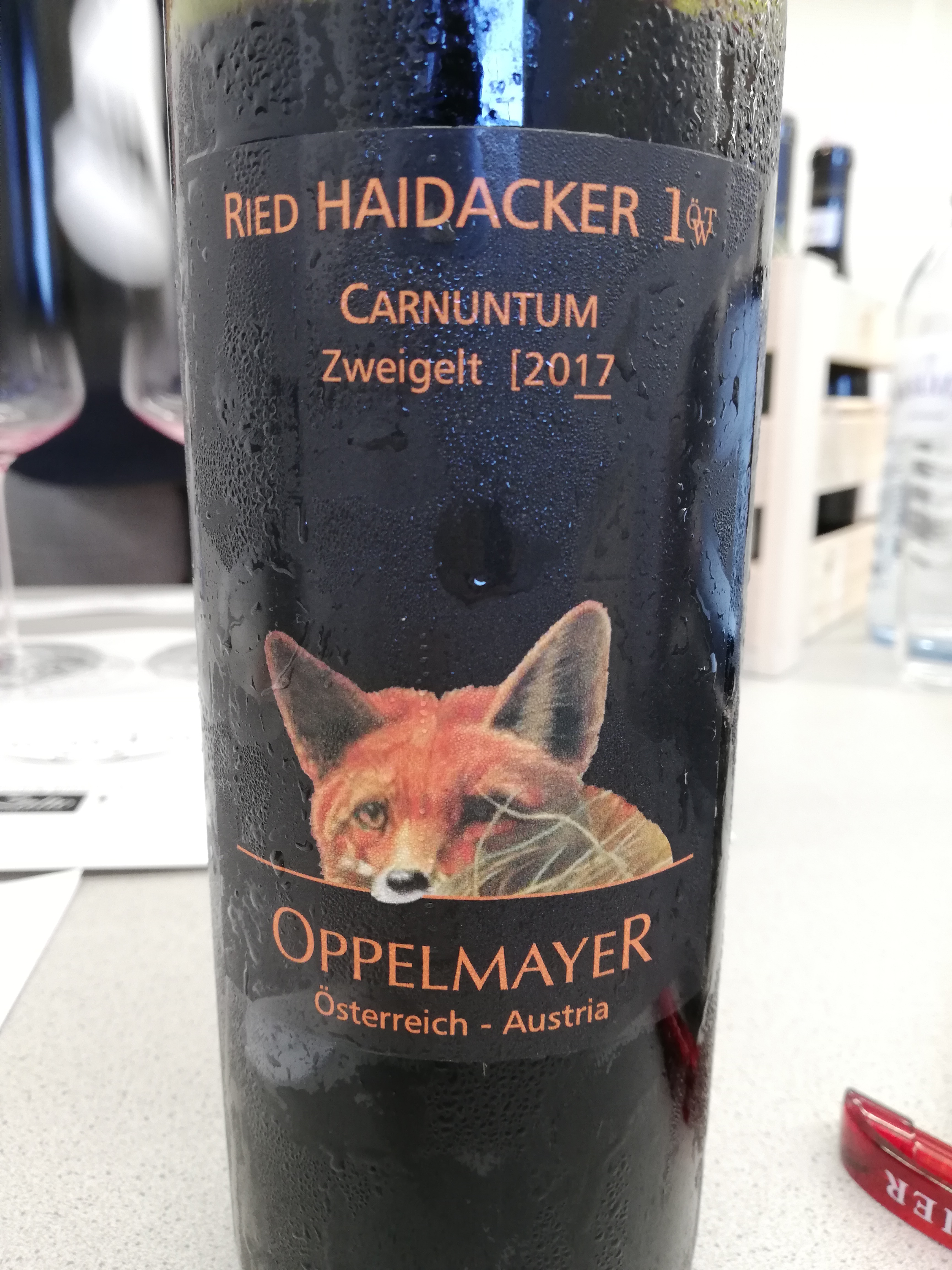 Oppelmayer - Zweigelt Ried Haidacker 2017