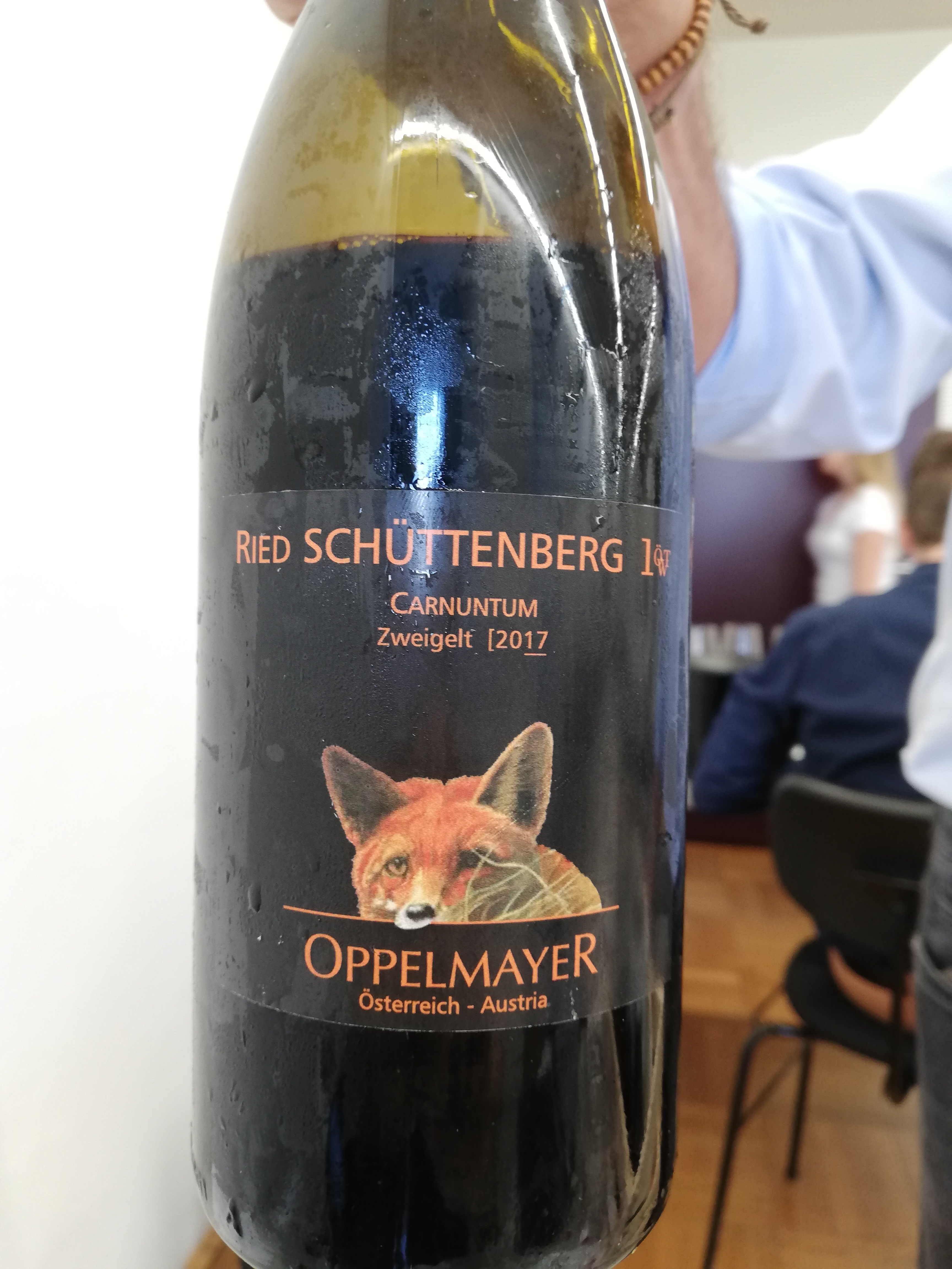 Oppelmayer - Zweigelt Ried Schüttenberg 2017