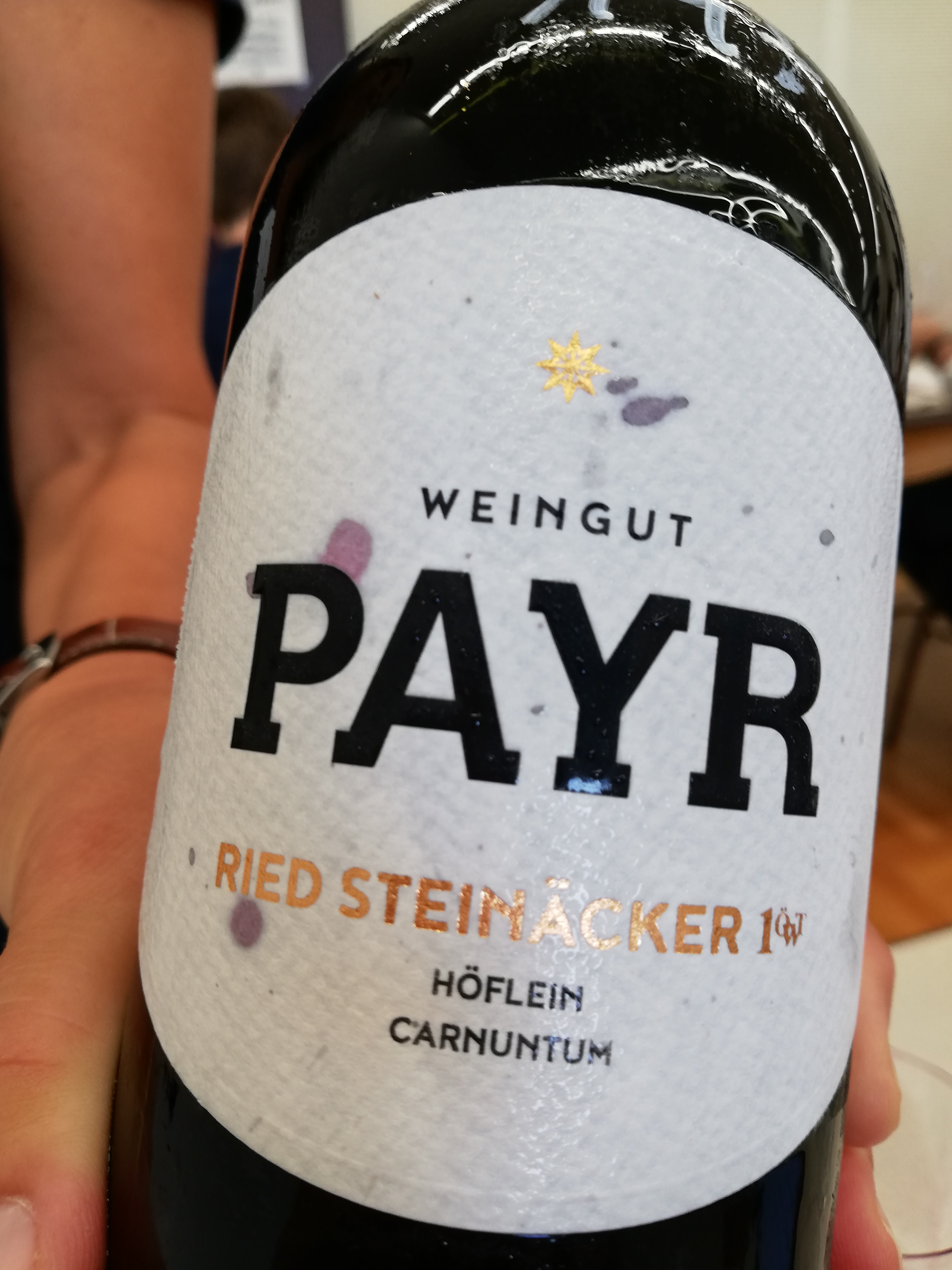 Robert Payr - Zweigelt Ried Steinäcker 2017