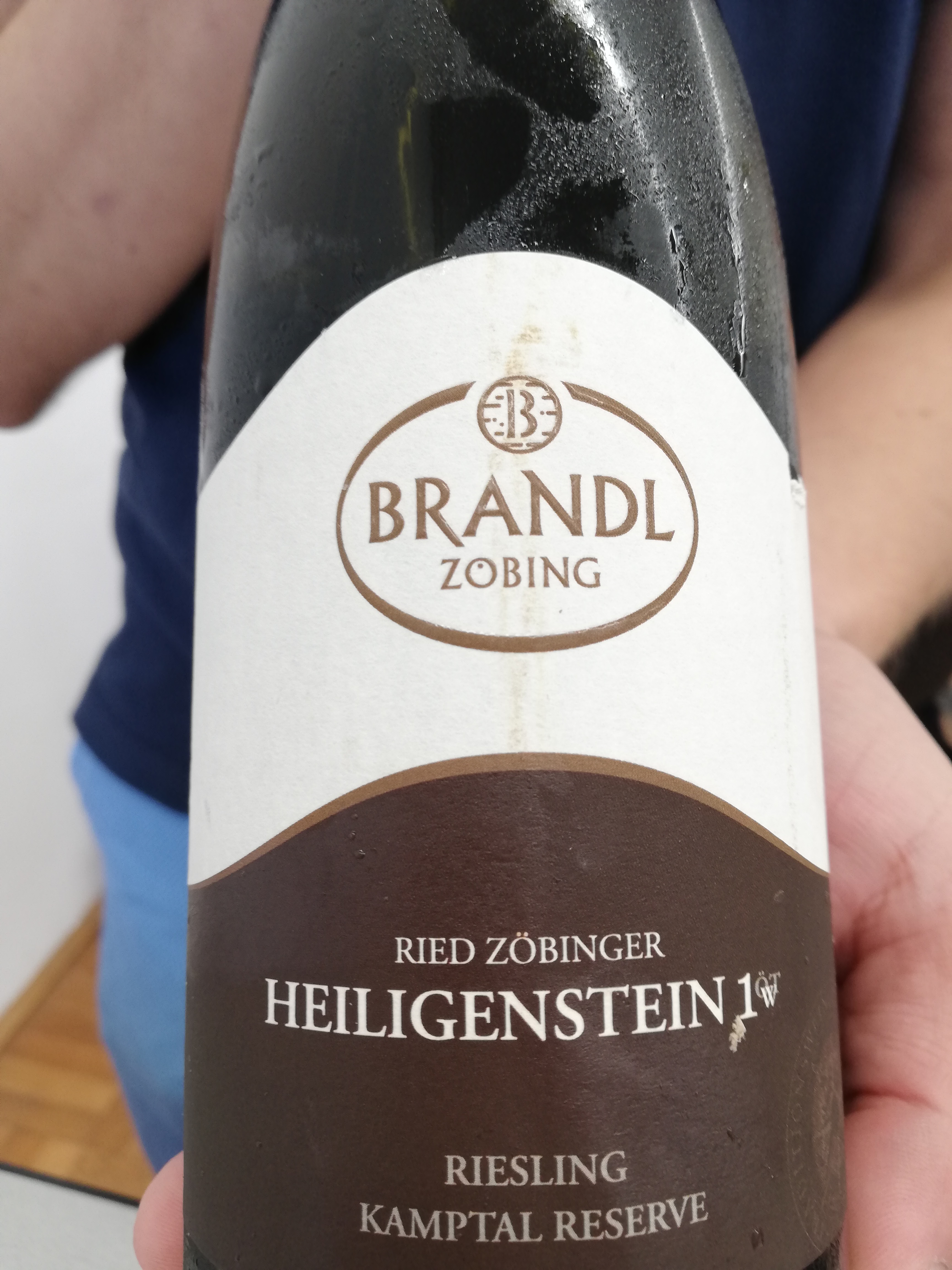 Brandl - Riesling Ried Heiligenstein 2018