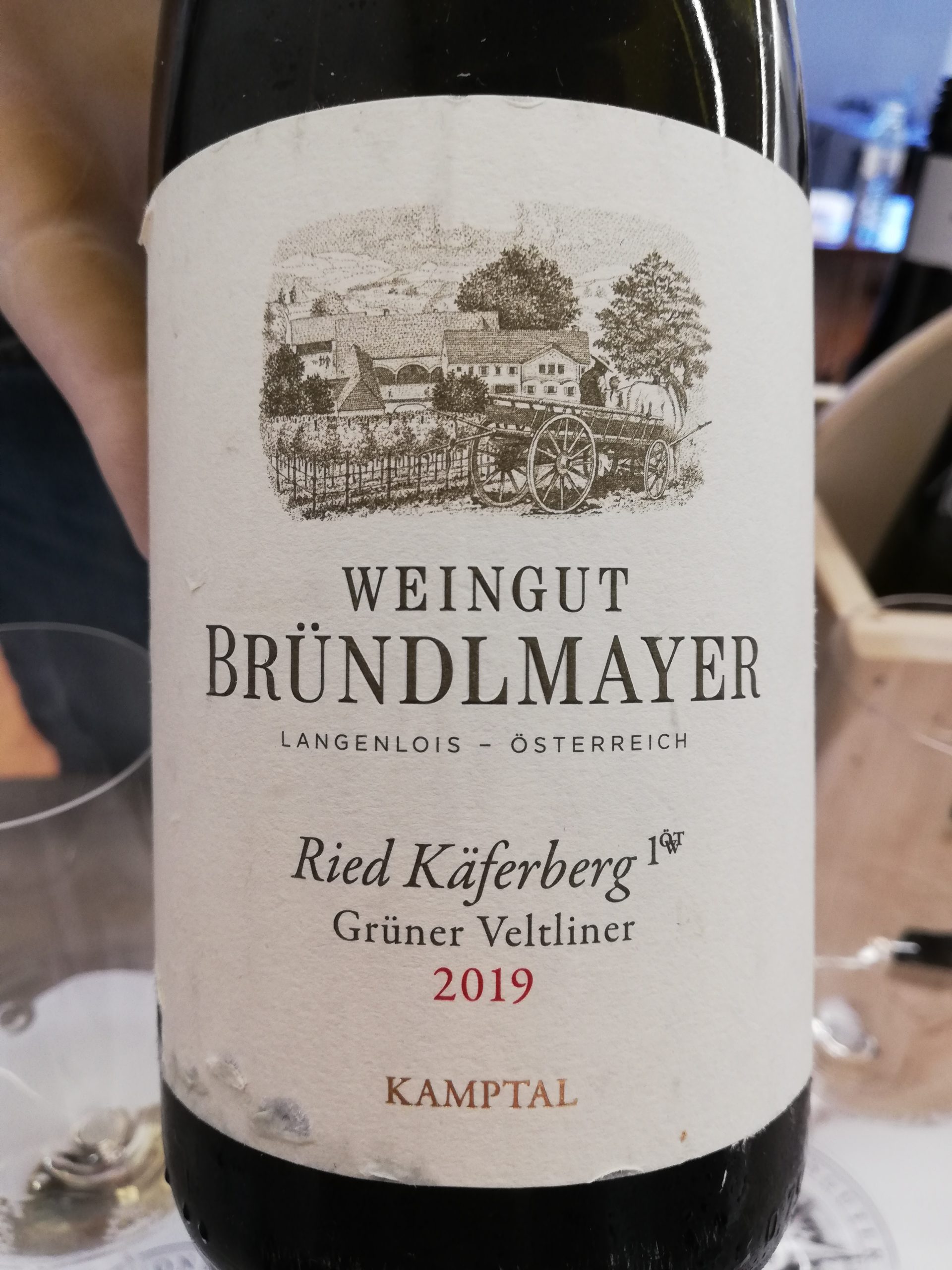 Bründlmayer - Grüner Veltliner Ried Käferberg 2019