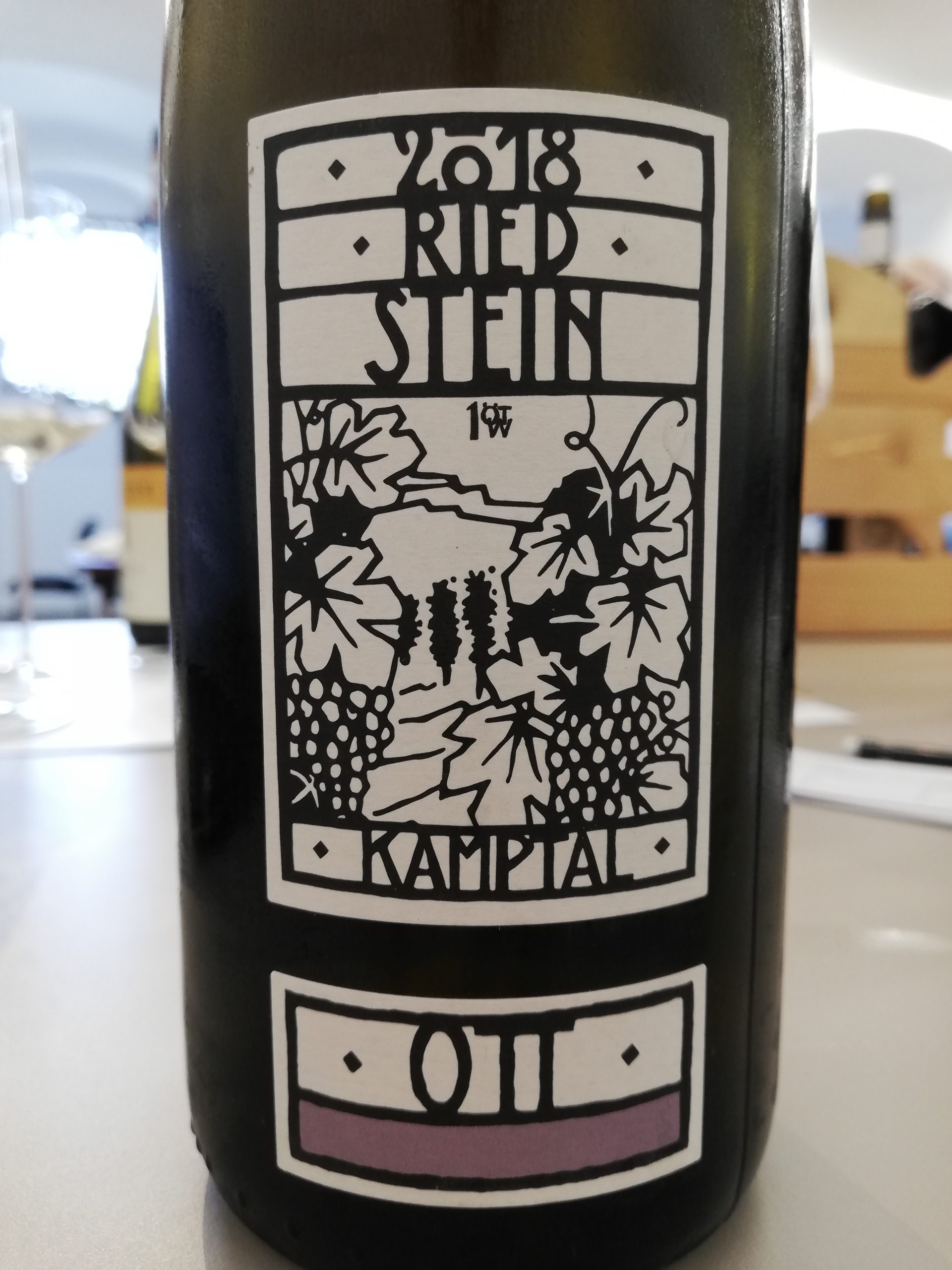 Bernhard Ott - Grüner Veltliner Ried Stein 2018