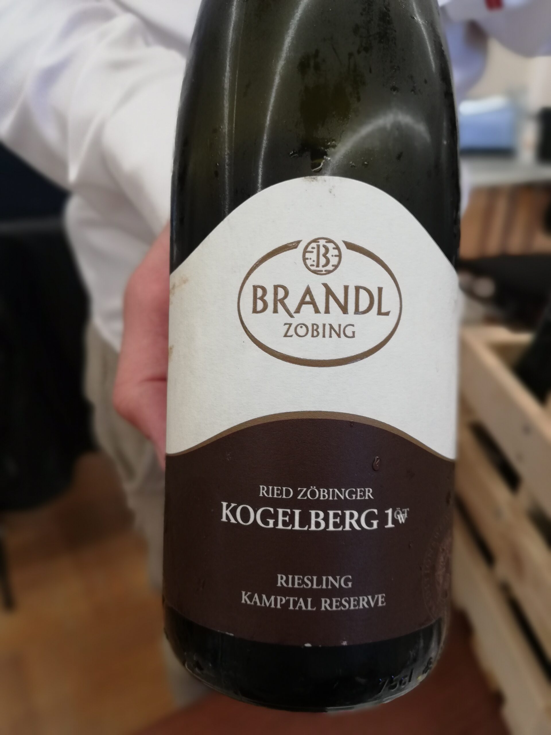 Brandl - Riesling Ried Kogelberg Erste Lage 2020